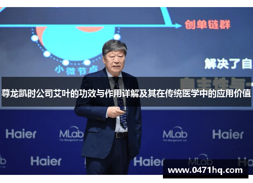 尊龙凯时公司艾叶的功效与作用详解及其在传统医学中的应用价值