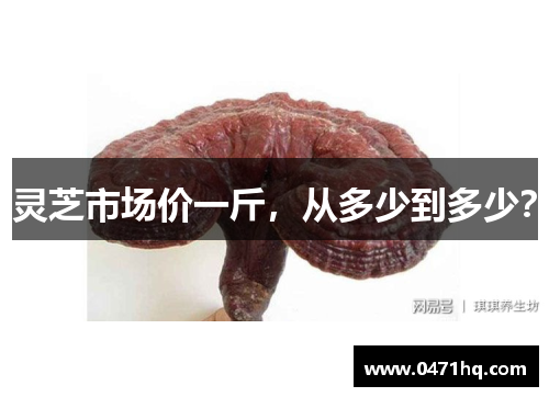 灵芝市场价一斤，从多少到多少？
