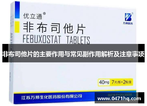 非布司他片的主要作用与常见副作用解析及注意事项